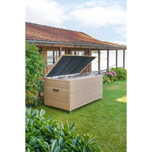 Coffre de rangement "Bayana" savana 1500L en acier traité époxy