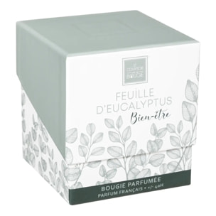 Bougie parfumée "Mael" - eucalyptus 190g