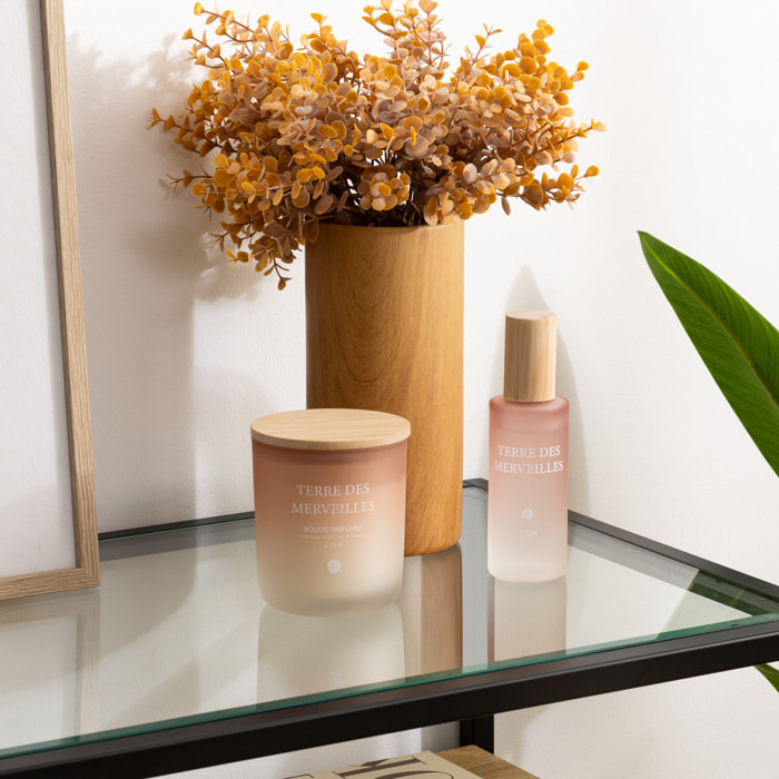 Spray d'ambiance "Terre des merveilles" 100ml