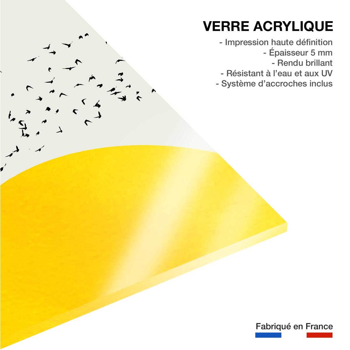 Tableau dessin 1000 oiseaux Tableau plexiglas