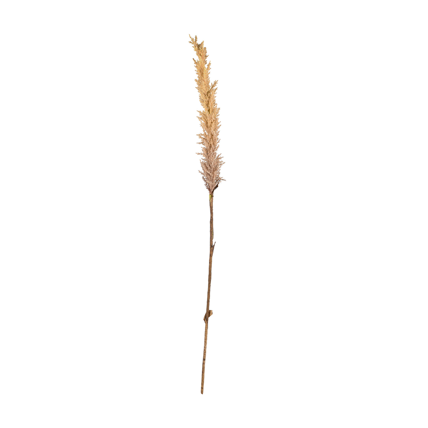 Décor Kvist