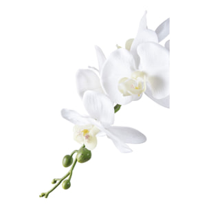 Orchid - Pianta artificiale di orchidea verde e bianca H49 cm