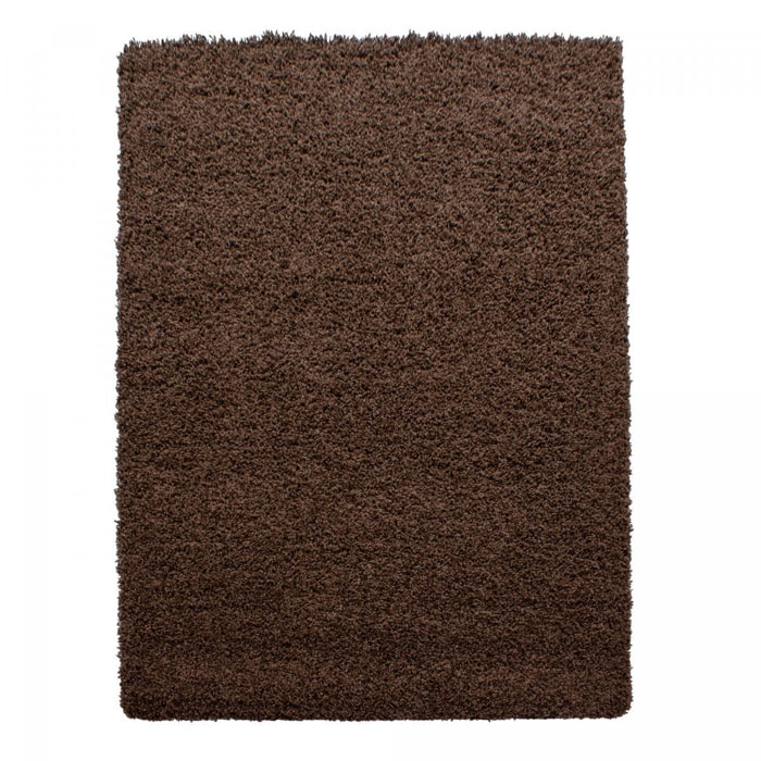 Tapis poils longs shaggy tissé motif uni ZASIVE