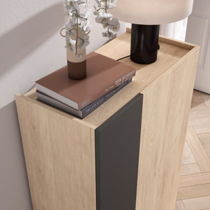 Zapatero Akra melamina roble claro puerta grafito 122x70x35 cm