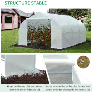 Serre tunnel de jardin dim. 4,45L x 2,99l x 2H m porte + 6 fenêtres enroulables acier galvanisé bâche PE haute densité blanc