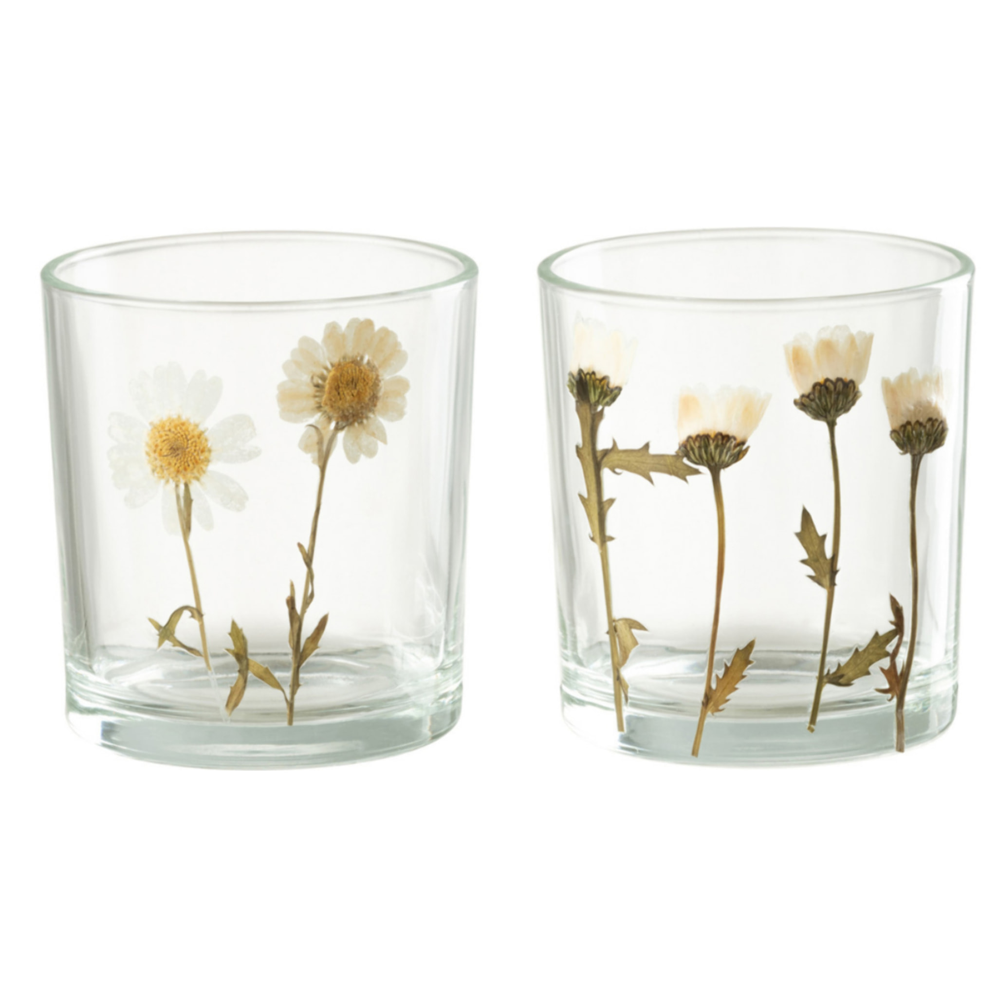J-Line photophore Fleur Marguerite - verre - mix - small - 2 pièces