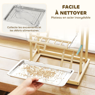 Aire de jeu pour oiseaux perchoirs mangeoires échelles chaîne balançoire cloches plateau