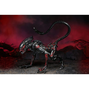 Aliens Action Figura Night Cougar Alien (kenner Tribute) 23 Cm Neca