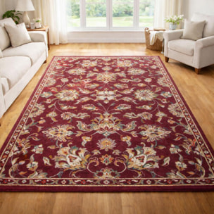 Tapis salon Rectangulaire Oriental