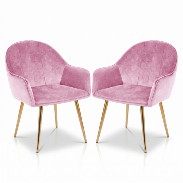 Set 2 poltrone in velluto con gambe oro, sedie imbottite design elegante e moderno, struttura in legno con schienale e seduta confortevoli, rivestimento effetto velluto morbido, ideali per soggiorno camera e ufficio, stile raffinato