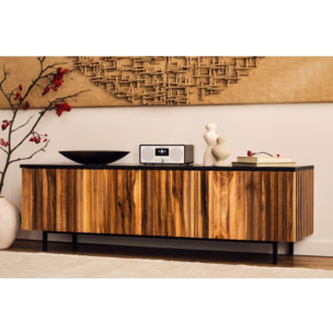 Radio internet PANASONIC RF-D40EG-K