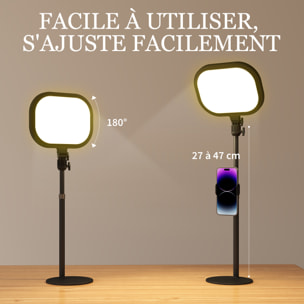 Lampe de bureau LED lampe de table dimmable 5 modes de couleur réglable port USB timer support téléphone noir