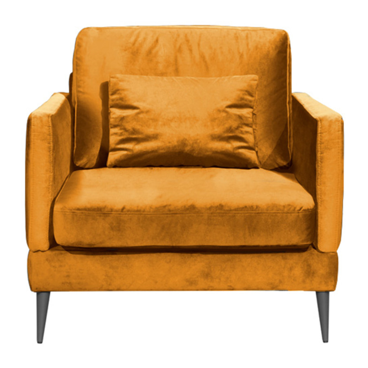 Fauteuil Splendido Velours - 1 Place
