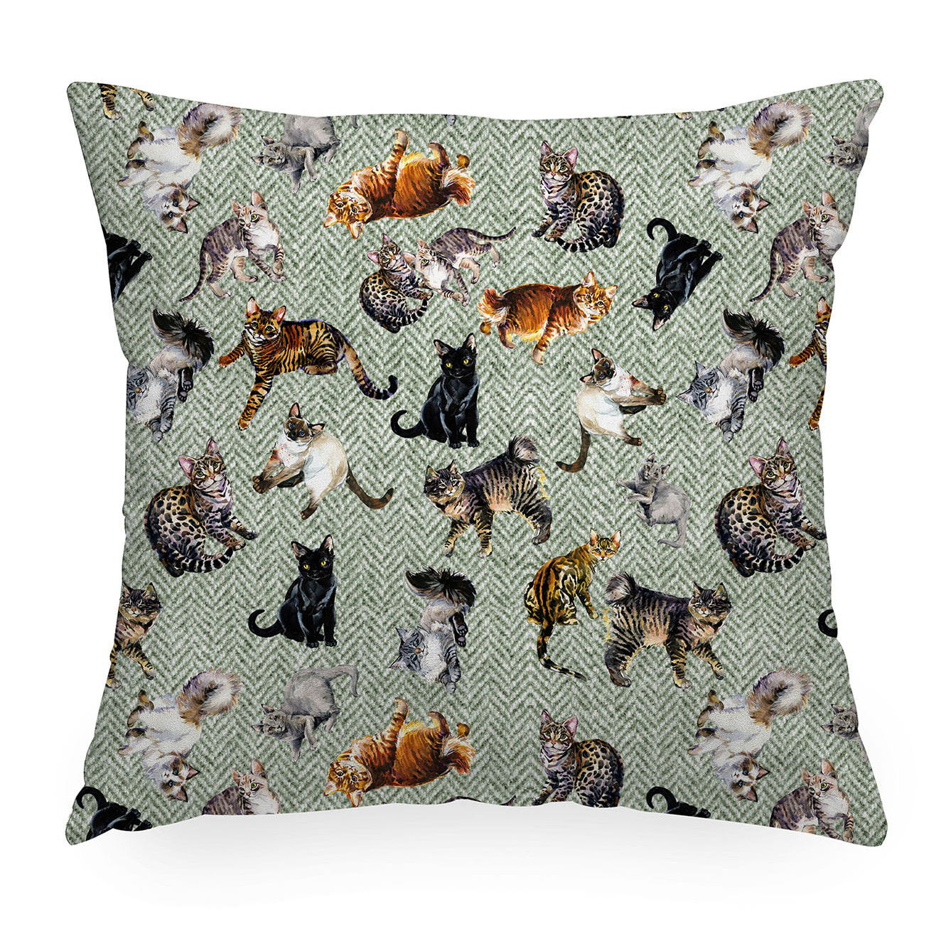 Cuscino arredo Greg Gatti