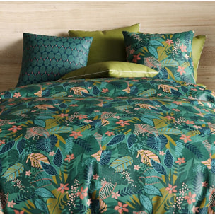 Parure housse de couette coton fougère