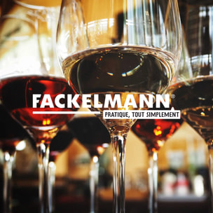 Lot de 2 becs verseurs anti-goutte pour bouteilles Fackelmann Bar Concept