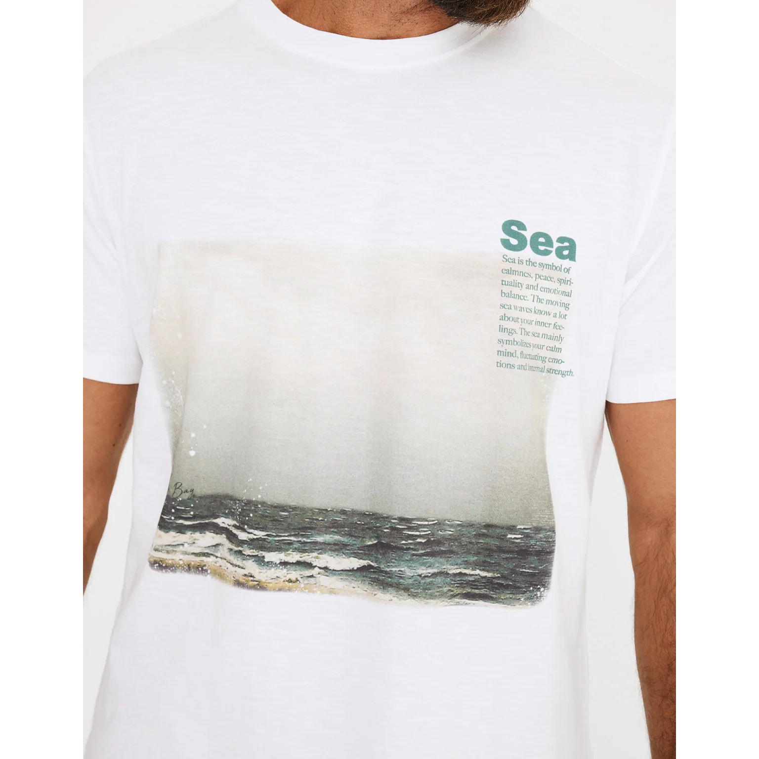 Camiseta Manga Corta Algodón - Turnersea
