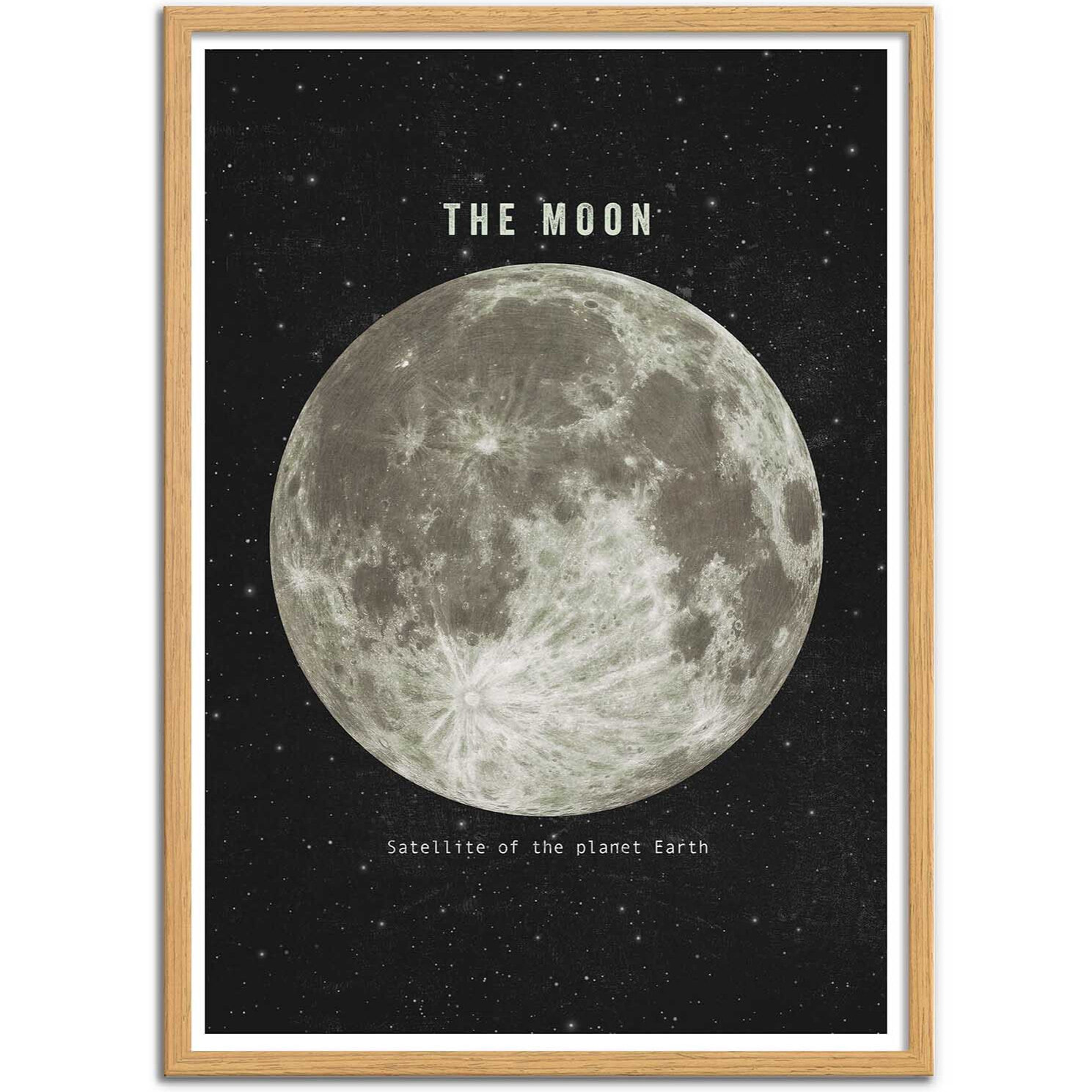 Affiche - The moon - Terry Fan