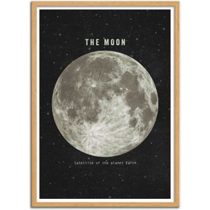 Affiche - The moon - Terry Fan