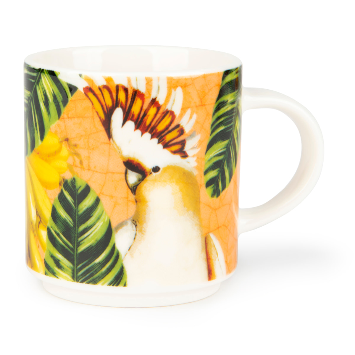 Set 6 Tazze Caffè Excelsa – Havana, New Bone China Multicolore