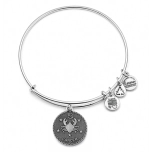 Pulsera Alex And Ani Mujer A07EB40CNRS