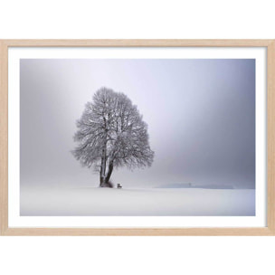 Affiche paysage Lumière d' hiver Affiche + cadre en bois - Chêne