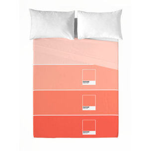 Pantone - Juego de Sábanas Estampadas - Incluye 1 o 2 Fundas de Almohada - 100% Algodón - Ombre B