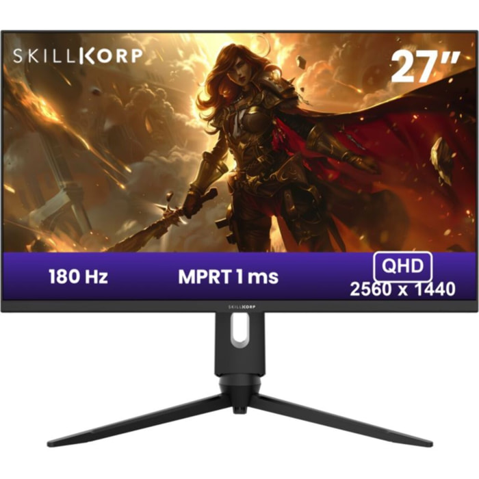 Ecran PC Gamer SKILLKORP M27 Plat 27'' Plat Fast IPS