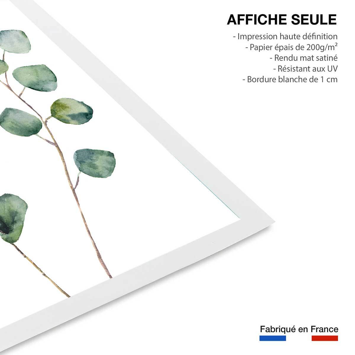 Affiche nature aquarelle feuille d' eucalyptus Affiche seule