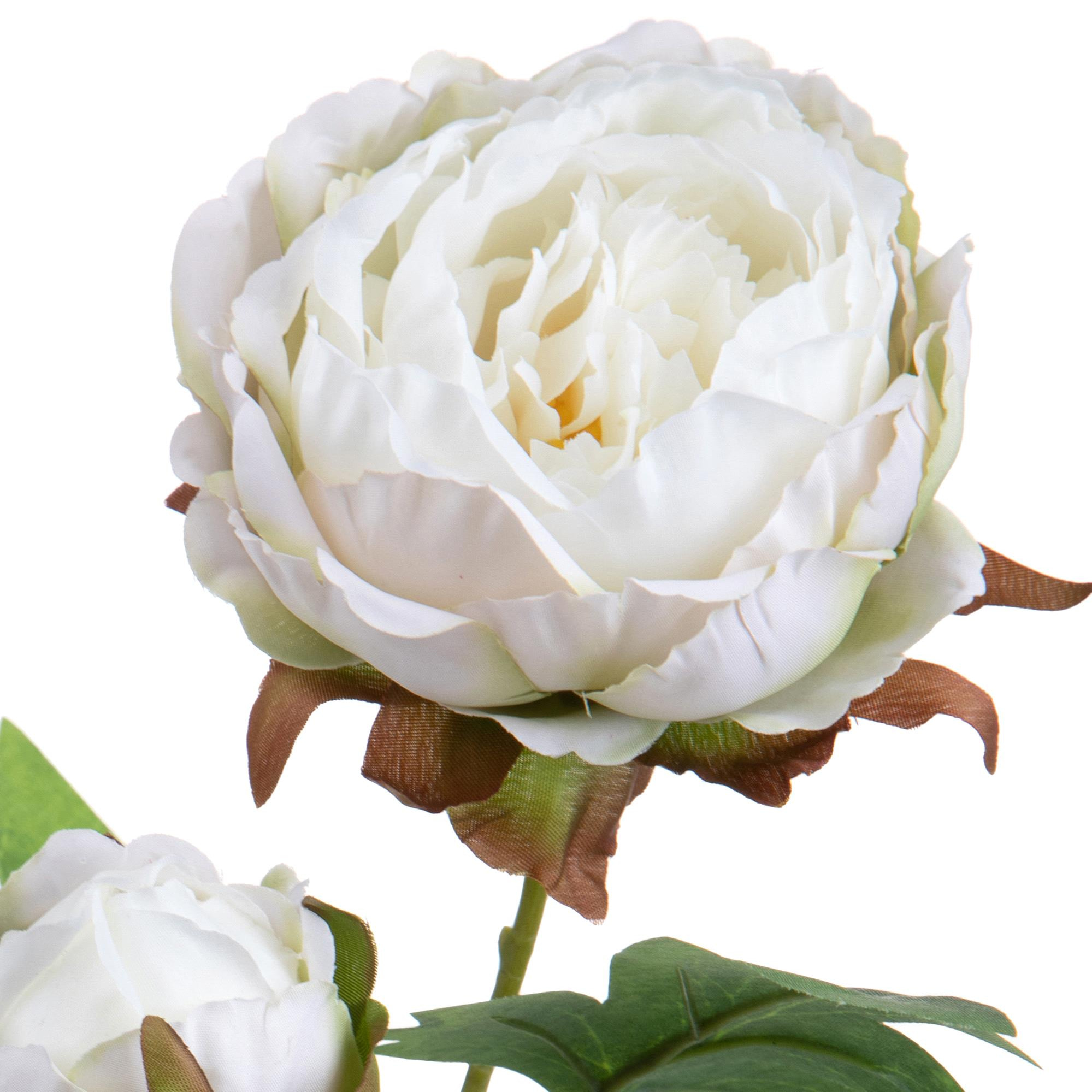 Peonia Per 2 Fiori 60 Cm - Pezzi 6 - 17,8X60X27,9cm - Colore: Bianco - Bianchi Dino - Fiori Artificiali