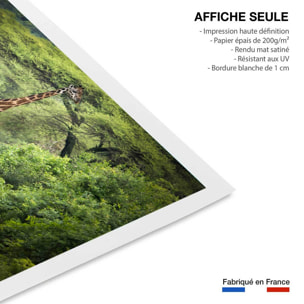 Affiche Girafe inattendue Affiche seule