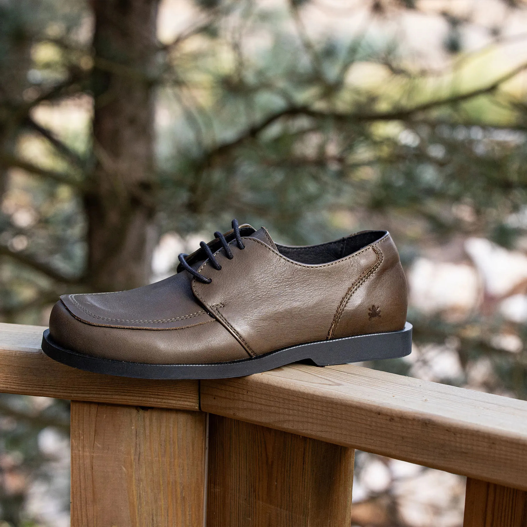 Zapatos N5876 SOFT NAPPA TESTA / ARENISCA color Testa