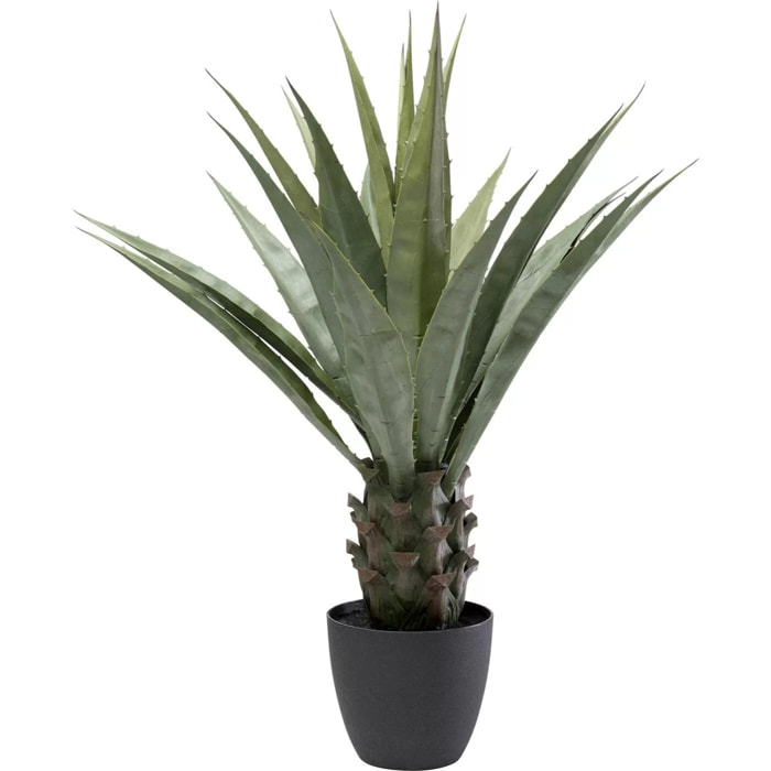 Plante décorative agave 85cm Kare Design