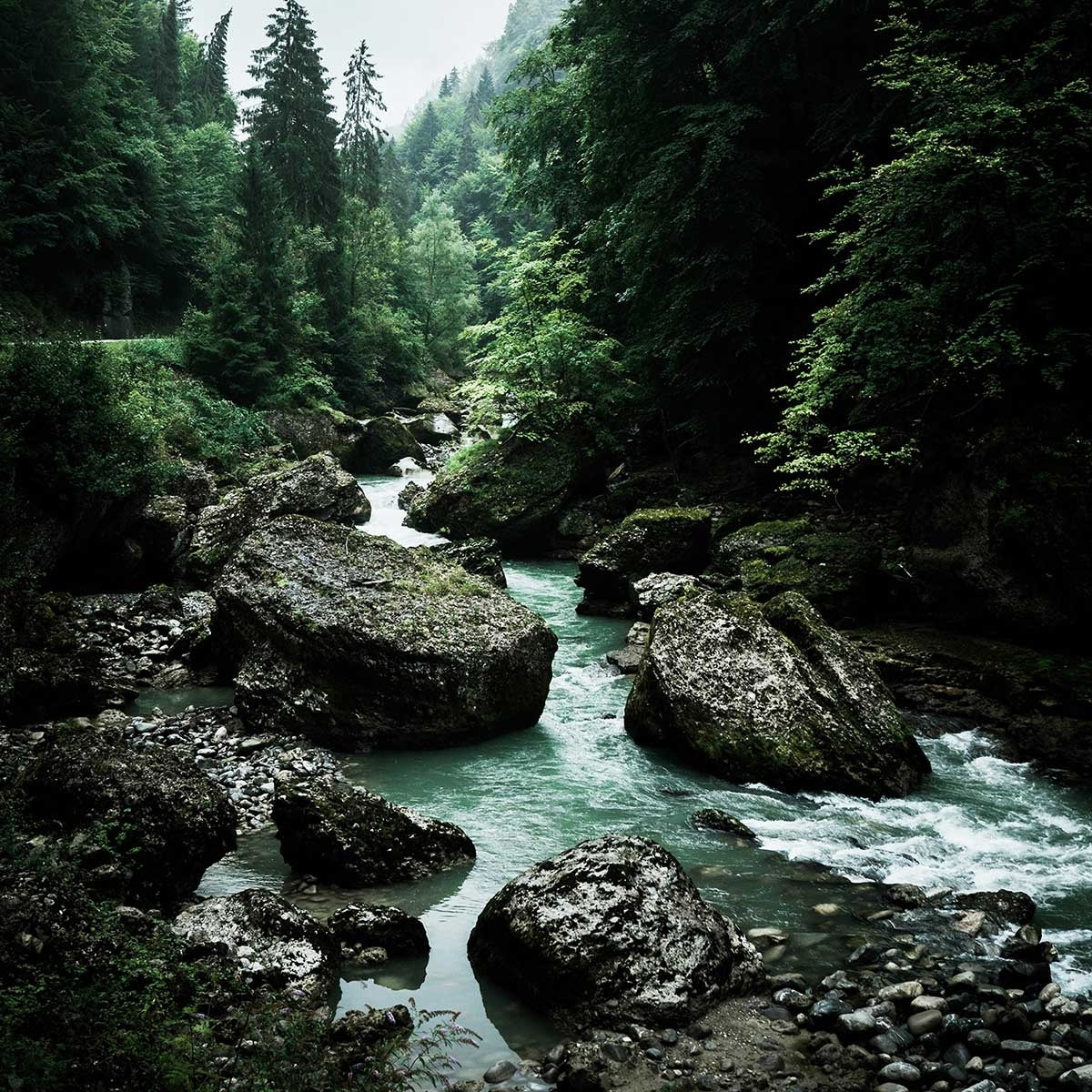 Tableau riviere en montagne Toile imprimée