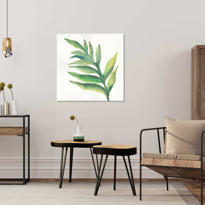 Tableau Plante aloe watercolor Tableau alu Dibond