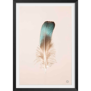 Affiche enfant plume bleue  Affiche + cadre en bois - Noir