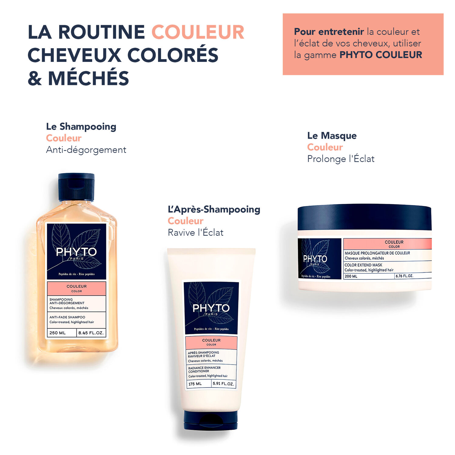 Coloration - 8.3 Blond Clair Doré - Kit Coloration Permanente