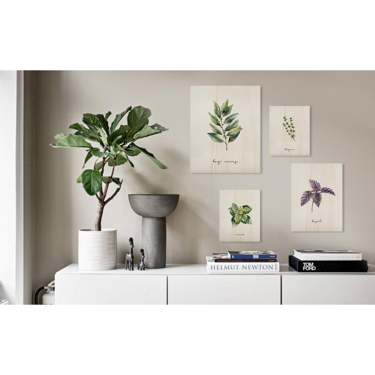 Pack tableaux Plants Hauteur: 50 Longueur: 40 Largeur: 1