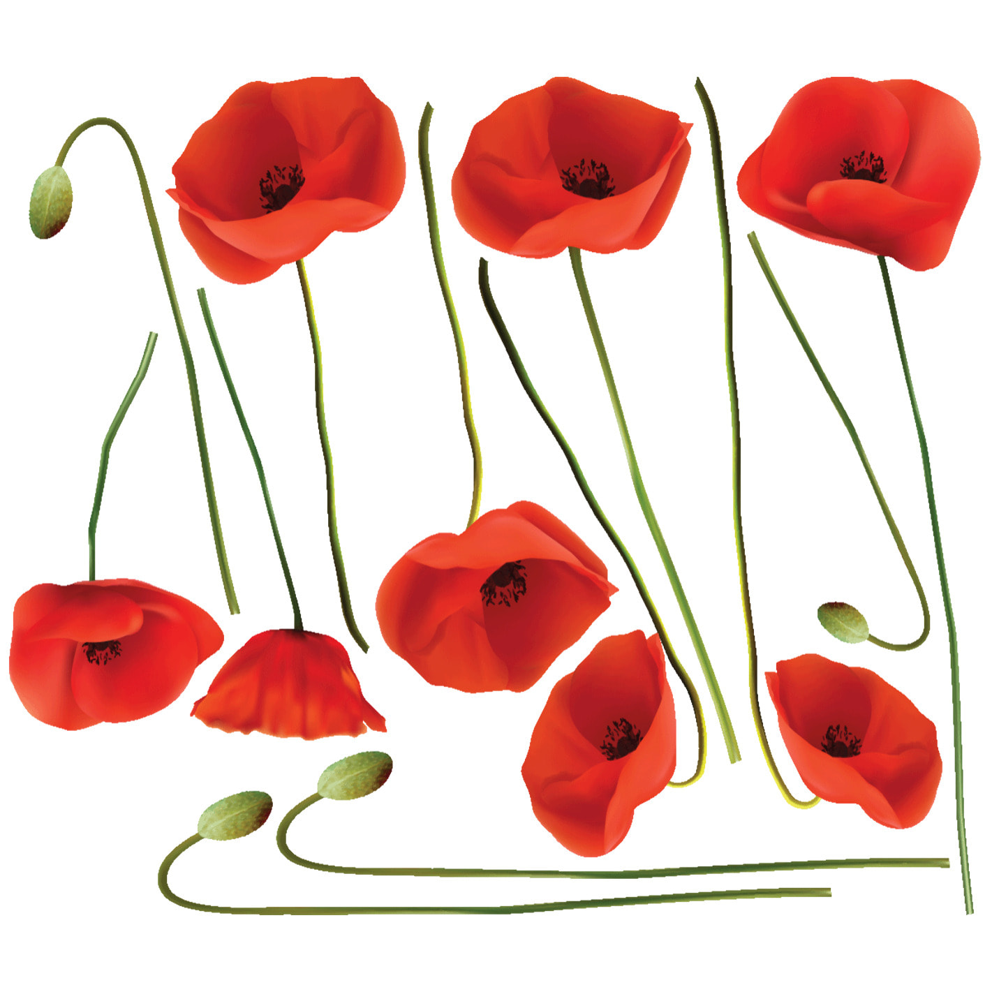 Stickers muraux | Sticker Mural Autocollant - FLEURS COQUELICOTS VERMEIL - adhésifs fond transparent