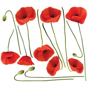 Stickers muraux | Sticker Mural Autocollant - FLEURS COQUELICOTS VERMEIL - adhésifs fond transparent