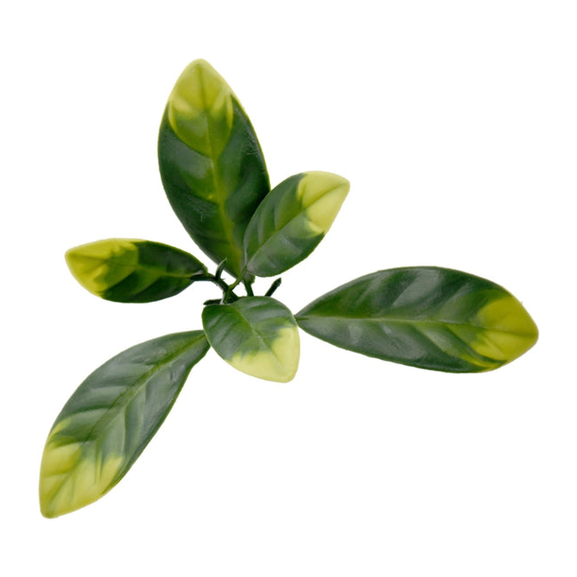 Jardin vertical laurel pack 4 piezas 50x50cm