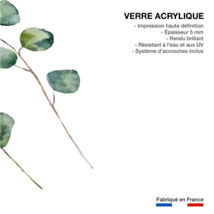 Tableau aquarelle eucalyptus Tableau plexiglas