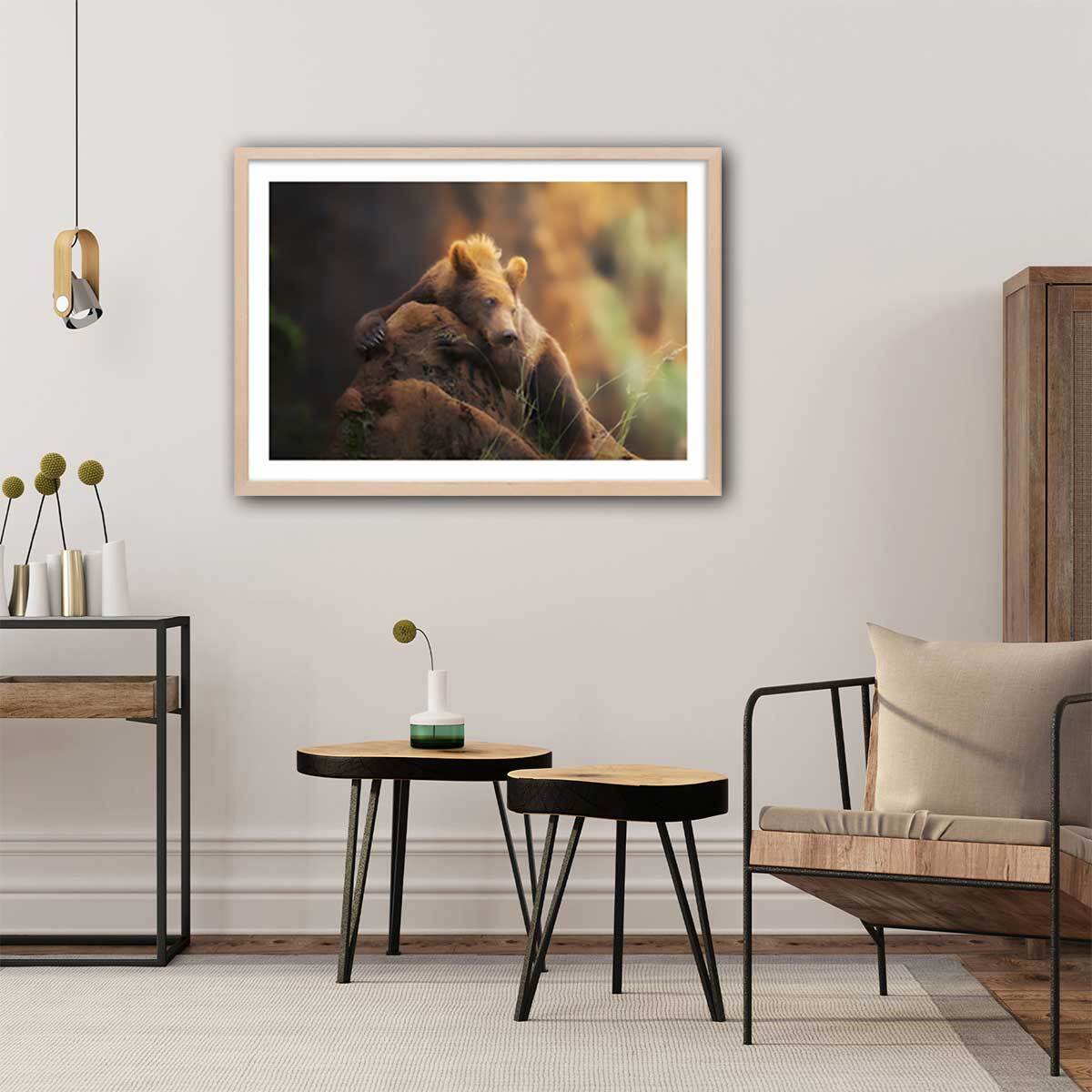 Affiche portrait d'ours Affiche + cadre en bois - Chêne