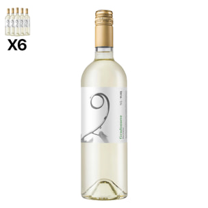 Caja de 6 botellas de vino joven Gradonueve. Cebreros, Semi dulce 100% Verdejo ecológico. Vendimia del 2023. 75cl con 9% vol.