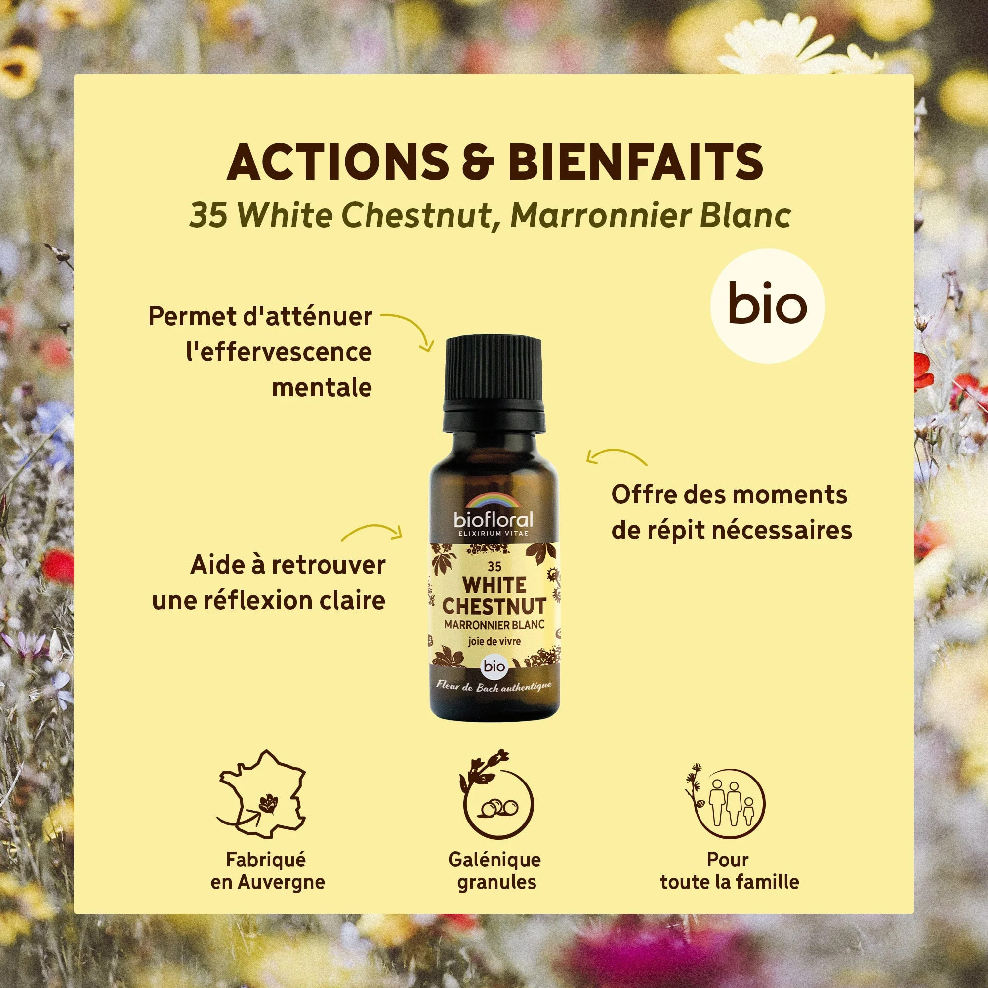 Biofloral - 35 White Chestnut, Marronnier Blanc - Bio - 19,5 gr