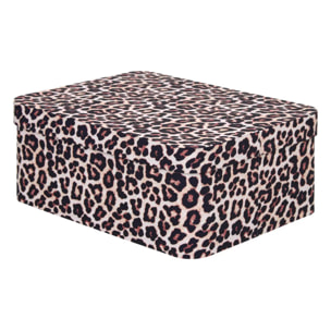 Lot de 4 boîtes Polybox