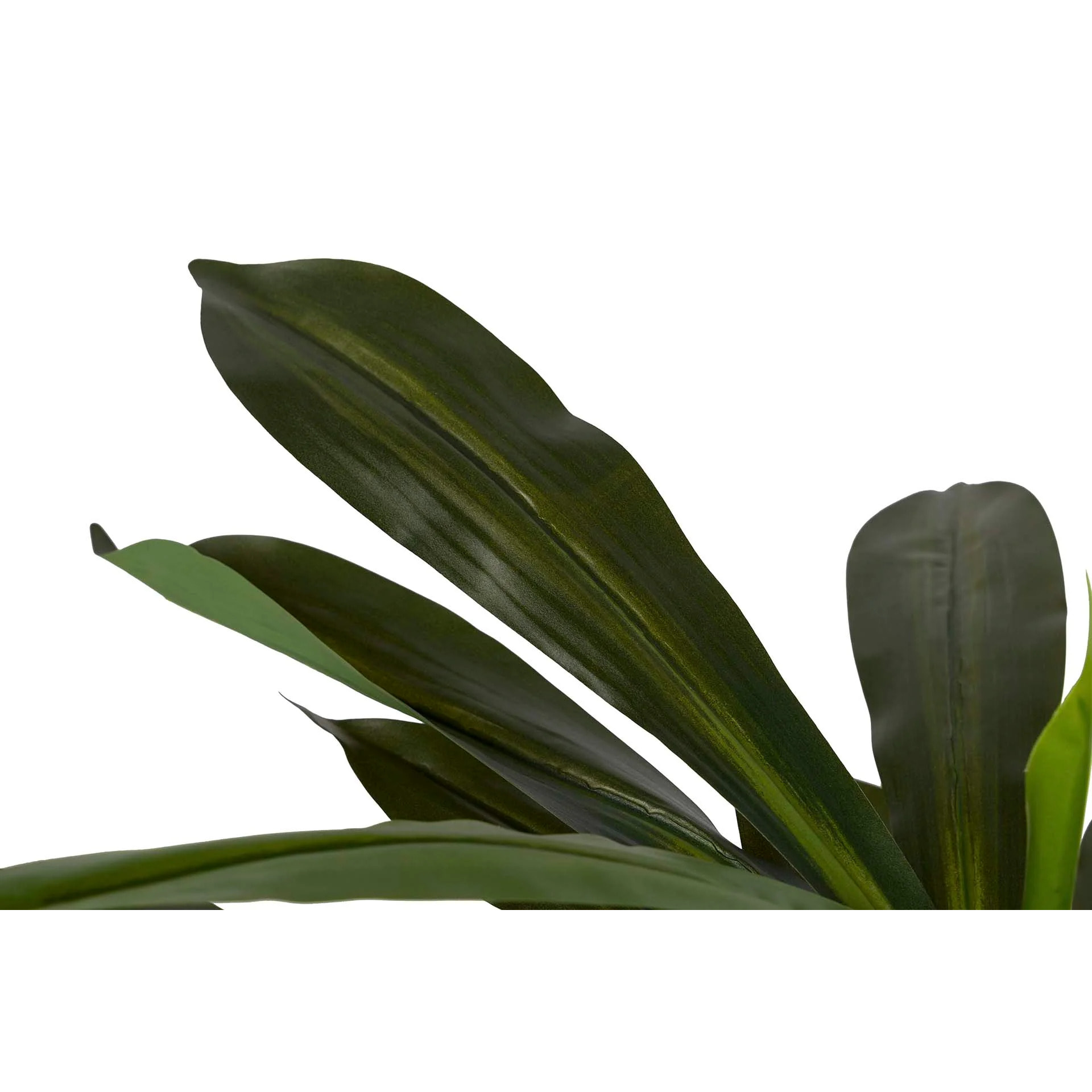 Planta Artificial Dracaena Fragrans Con Maceta 55x55x100 Cm