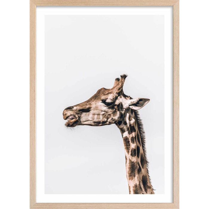 Affiche animaux prendre de la hauteur Affiche + cadre en bois - Chêne