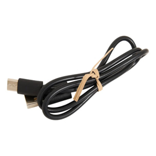 Lampe LED amovible à batterie marron