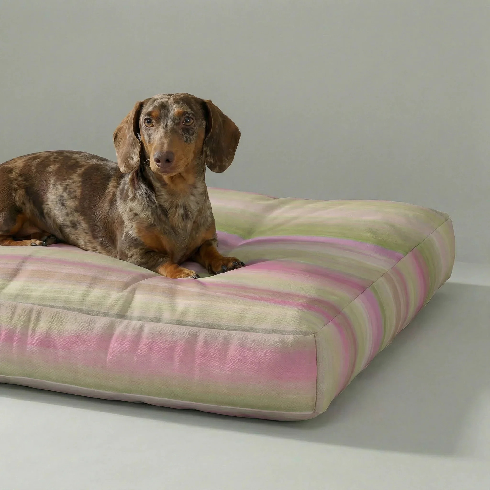 Lit pour animaux antitaches Exeter Vert